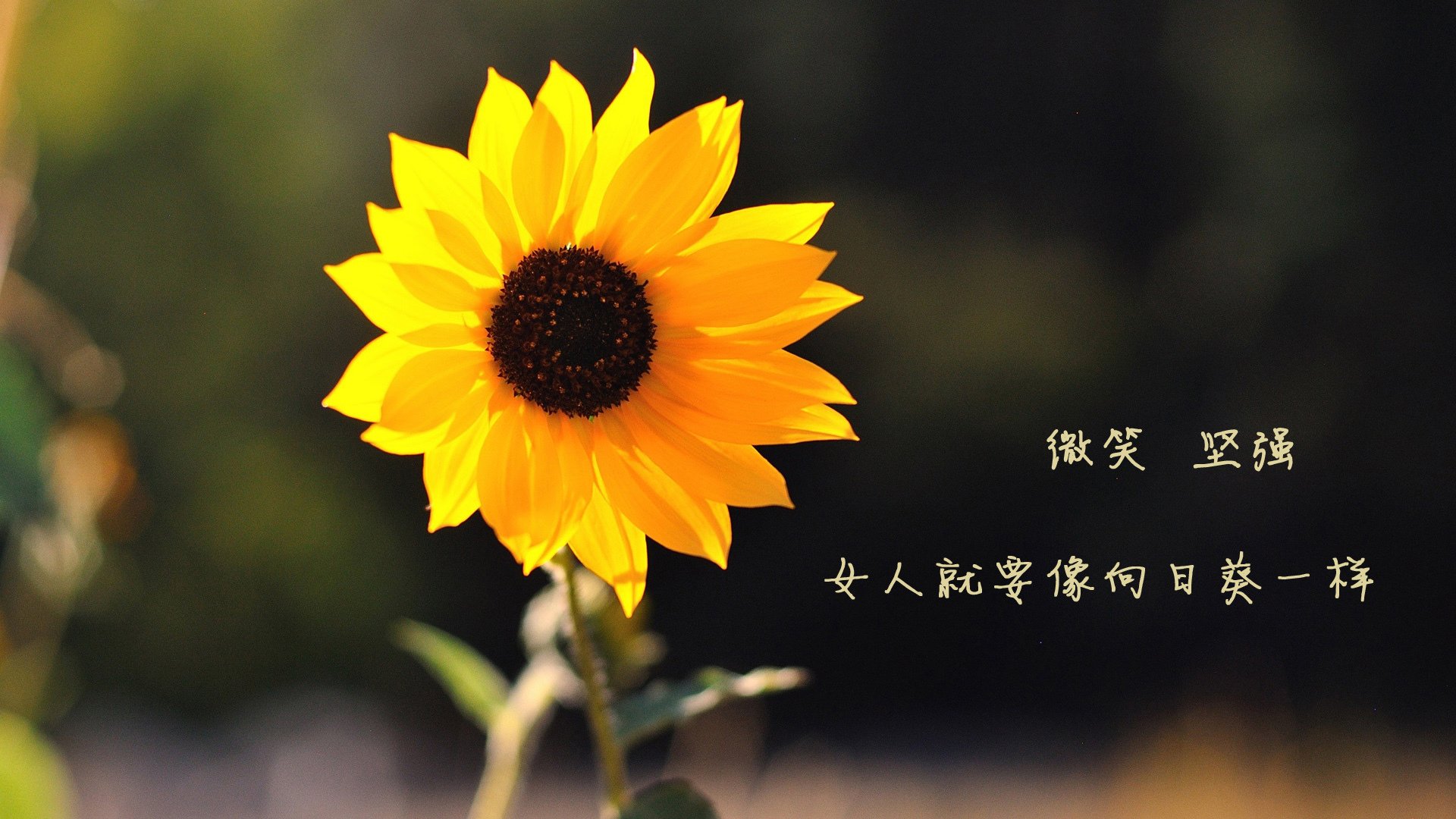 华体会网址-篮球运动员比赛数据智能采集技术，篮球运动员比赛数据智能采集技术是什么