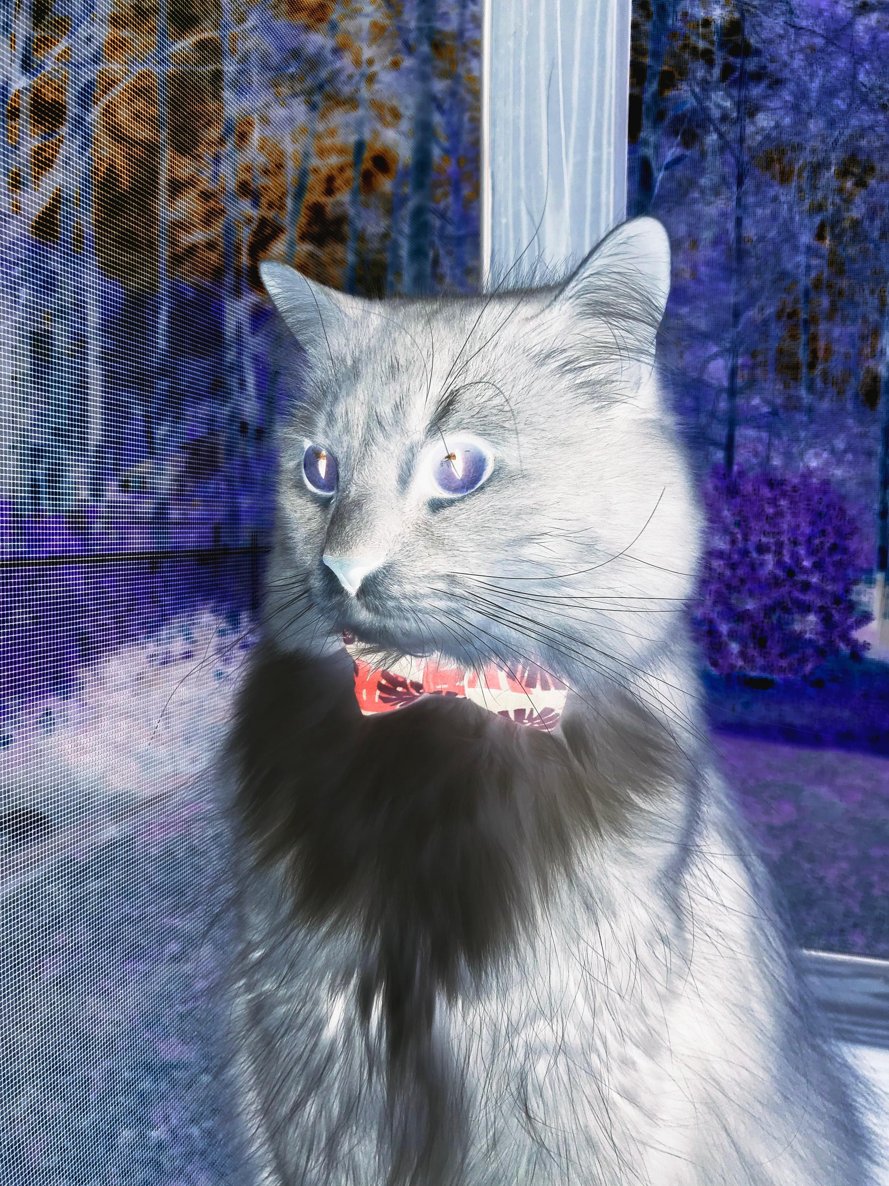 华体会手机网站-波兰乒乓队未来发展：加强国际合作与技术交流，波兰乒乓球联赛