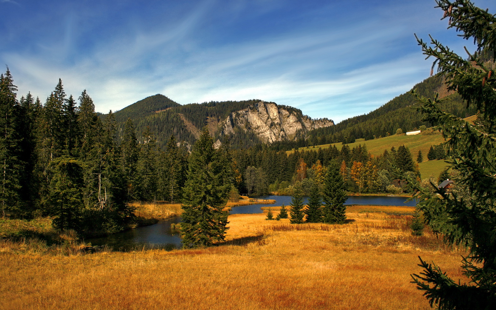 华体会在线登录-浙江雄狮替补球员关键时刻挺身而出，浙江雄狮服务队