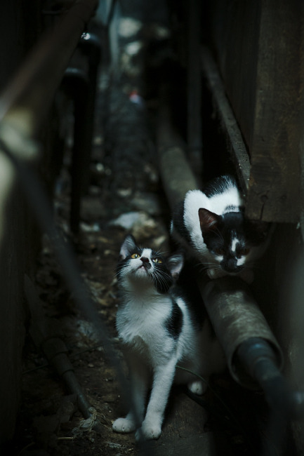 华体会官方网站-掘金主场训练日现场座无虚席，掘金主场战绩