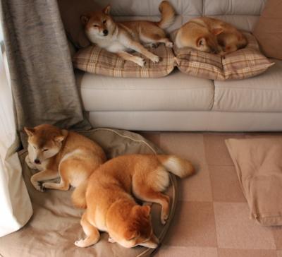 华体会app-篮球训练营引入智能化考勤系统提升管理效率，篮球训练营规章制度