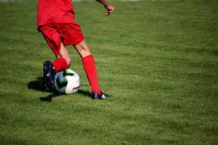 华体会app登入-中国足球俱乐部管理层治理结构与决策质量提升，足球队管理层